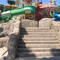 фото из отзыва ID 2693433