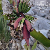 фото из отзыва ID 2694563