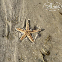 фото из отзыва ID 2694575