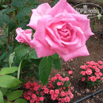 фото из отзыва ID 2694590