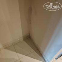 фото из отзыва ID 2694606