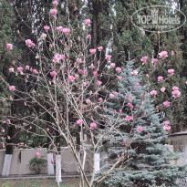 фото из отзыва ID 2694607