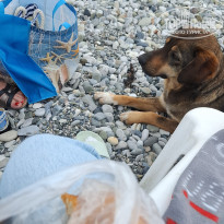 фото из отзыва ID 2694607