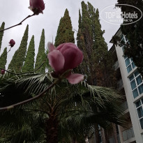 фото из отзыва ID 2694607