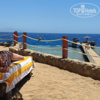 фото из отзыва ID 2694644