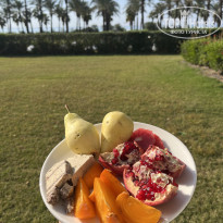 фото из отзыва ID 2694643