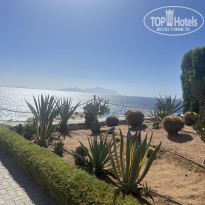 фото из отзыва ID 2694664