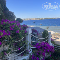 фото из отзыва ID 2694664