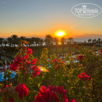 фото из отзыва ID 2694643