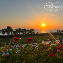 фото из отзыва ID 2694643