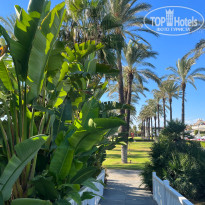 фото из отзыва ID 2694643