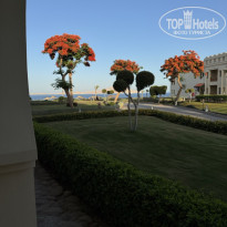 фото из отзыва ID 2694751