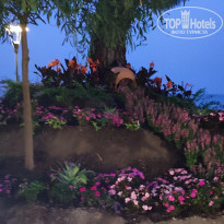 фото из отзыва ID 2692245