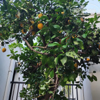 фото из отзыва ID 2692245