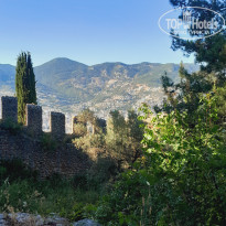 фото из отзыва ID 2694768