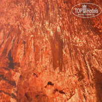 фото из отзыва ID 2694768