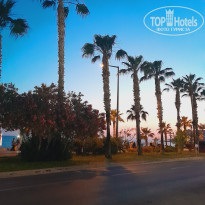 фото из отзыва ID 2694768