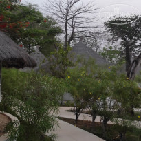 фото из отзыва ID 2694775