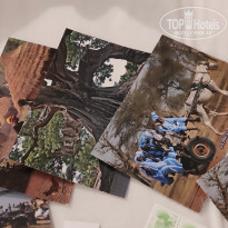 фото из отзыва ID 2694775