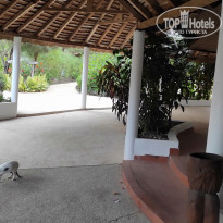 фото из отзыва ID 2694775