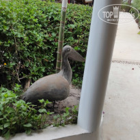 фото из отзыва ID 2694775