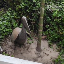 фото из отзыва ID 2694775