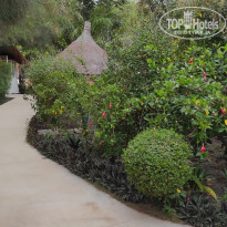 фото из отзыва ID 2694775