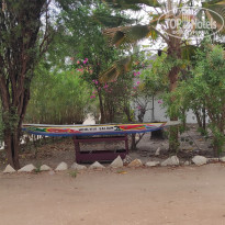 фото из отзыва ID 2694775