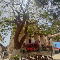 фото из отзыва ID 2694775