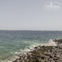 фото из отзыва ID 2694775