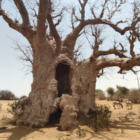 фото из отзыва ID 2694775