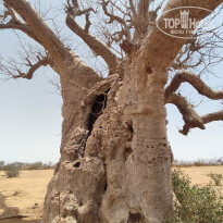 фото из отзыва ID 2694775