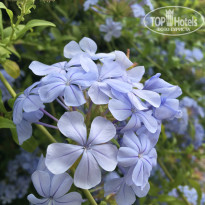 фото из отзыва ID 2694792