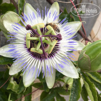 фото из отзыва ID 2694792