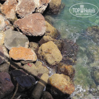 фото из отзыва ID 2694804