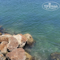 фото из отзыва ID 2694804