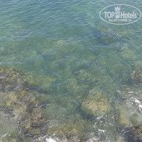 фото из отзыва ID 2694804