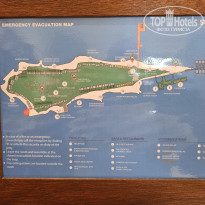 фото из отзыва ID 2694810