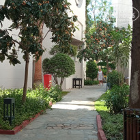 фото из отзыва ID 2694840