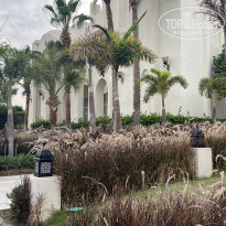 фото из отзыва ID 2694842