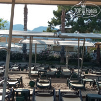 фото из отзыва ID 2694840