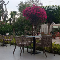 фото из отзыва ID 2694840