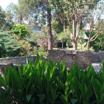 фото из отзыва ID 2694840