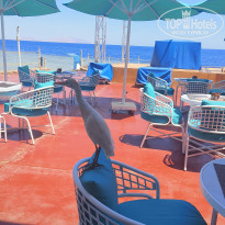 фото из отзыва ID 2691729