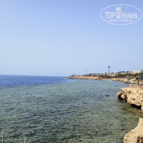 фото из отзыва ID 2691729