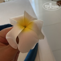 фото из отзыва ID 2694868