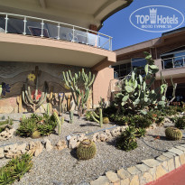 фото из отзыва ID 2694881