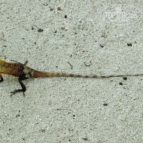 фото из отзыва ID 2694810