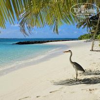 фото из отзыва ID 2694810