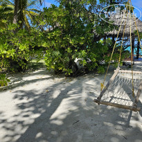 фото из отзыва ID 2694810